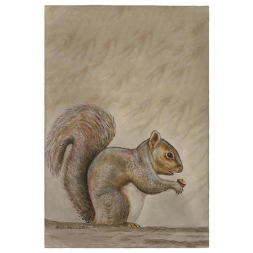 Squirrel Guest Towel - Two Sets of Two (4 Total)