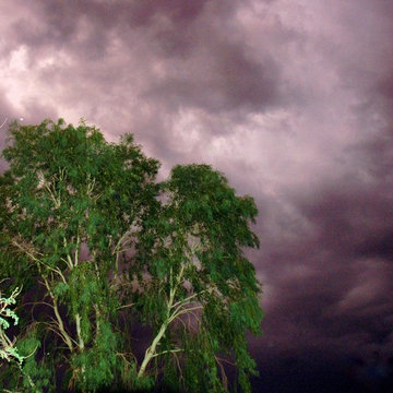 Monsoon