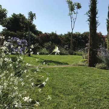 Création d'un jardin paysager à La Crau