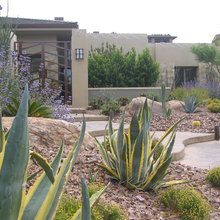 Landscape Ideas