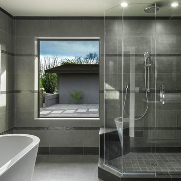 Contemporary Scottsdale Remodel - Cactus