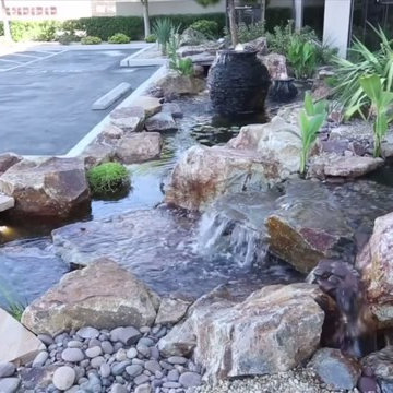 Pond Build for Nat Geo Wild’s & Animal Planet's “Tanked” Headquarters!