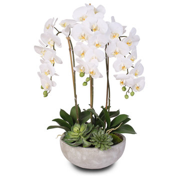 Silk White Phalaenopsis Orchids And Succulents With Modern Stone Bowl