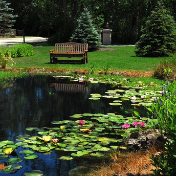 Natural Pond