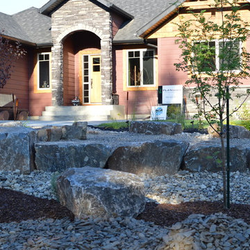 New yard Design