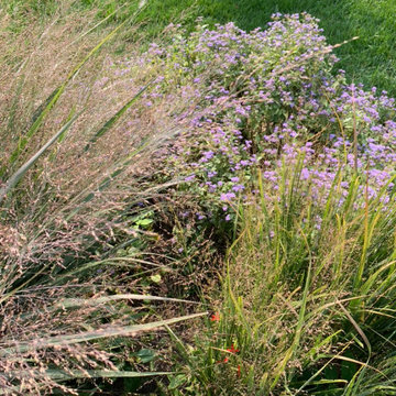 Native Plant Landscaping, Hardscaping, and Bioswales