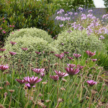Jardin en Bord de Rance par Landscapes et Cie - Image 12