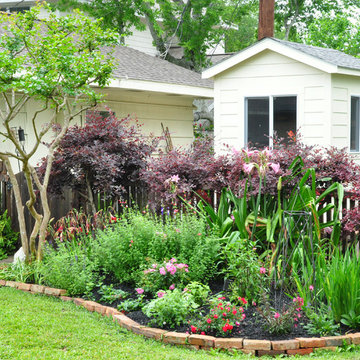 Bees Birds and Butterflies in Braeswood