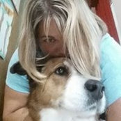 Dawn Torok's photo