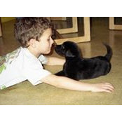 Bradley Stamm's photo
