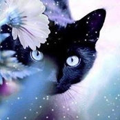 Foto von Skye Blue