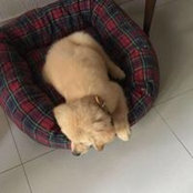 Zainab Akram's photo