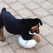 Alana Thomas's photo