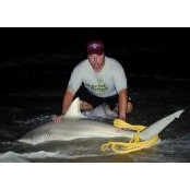 Albert Rowe's photo