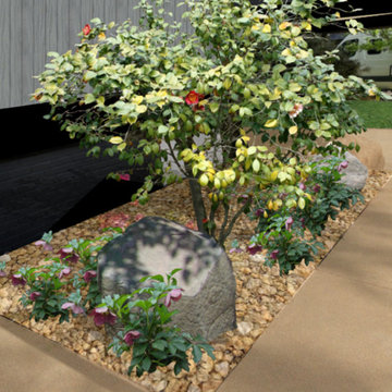 Foundation Plantings