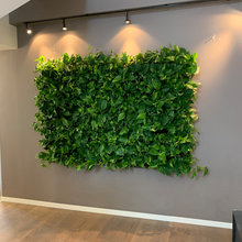 Plant Wall