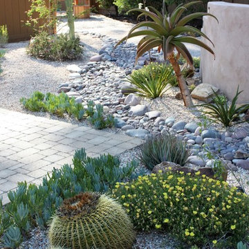 Southwestern landscape design master project.