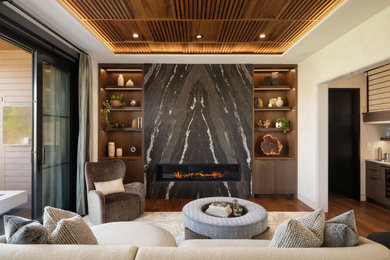 Inspiration for a contemporary living room remodel in Other