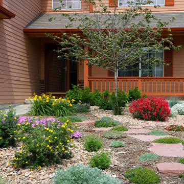 Lawn Alternatives