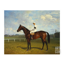 horse racing