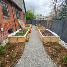 Side Yard