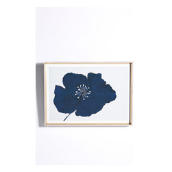 Hellebores Wall Art - Artwork