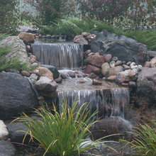 Pond