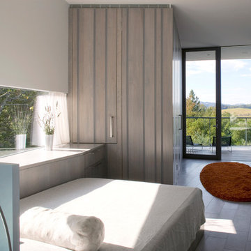 Small House in an Olive Grove