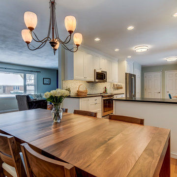 Beautiful Minimalist Style Kitchen in Springfield