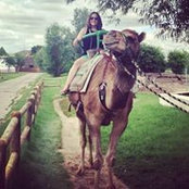 Brooke Ossenkop's photo