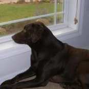 Debbie Sommers's photo