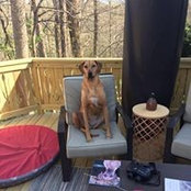 Julie Baker Moses's photo