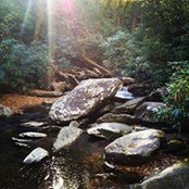 Don Wooldridge's photo