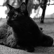 Sylvia Warren's photo