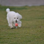 Lynn Fufu's photo