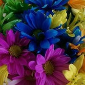 Keri Mayberry's photo