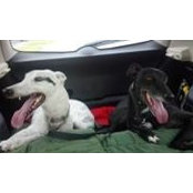 Matt Miller's photo