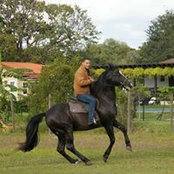 Foto de Robert Gonzalez
