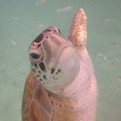 Sue Mallon's photo