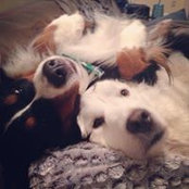 James Buckley's photo