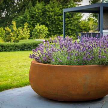Contemporary Garden With a View
