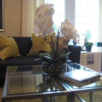 Living Rooms