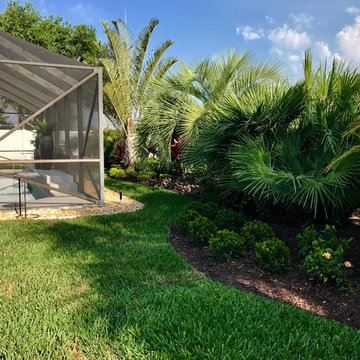 Backyard Pool Buffer