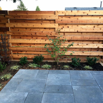 Detail view of the pavers, fence and evergreen planting
