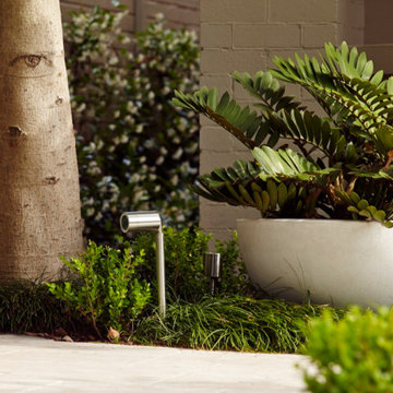 Walkways Paving and Front Yard Upgrade in Sherman Oaks CA