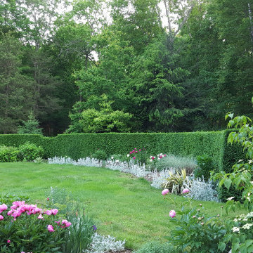 My Garden