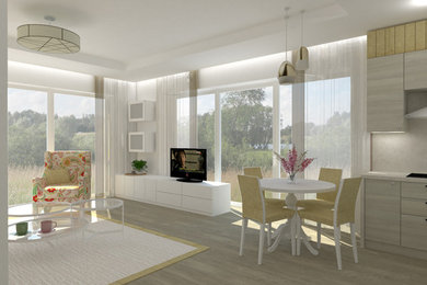 Small Living Room & Kitchen Design Illustration