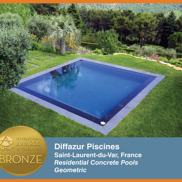 2014 APSP International Awards of Excellence