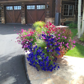 Annuals