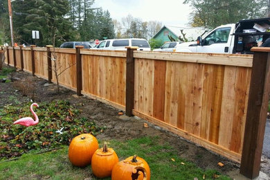 Cedar Fence w/ Mod Panel and a lexington gate